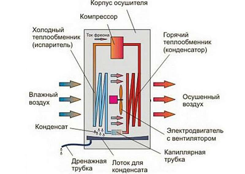 Поглотитель влаги в шкаф